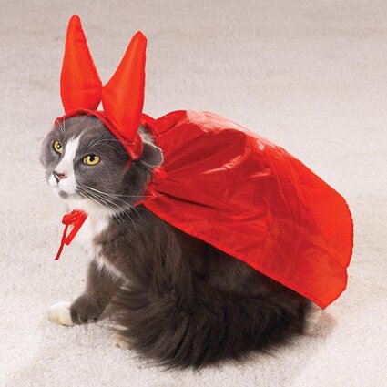 evil-one-cat-costume.jpg