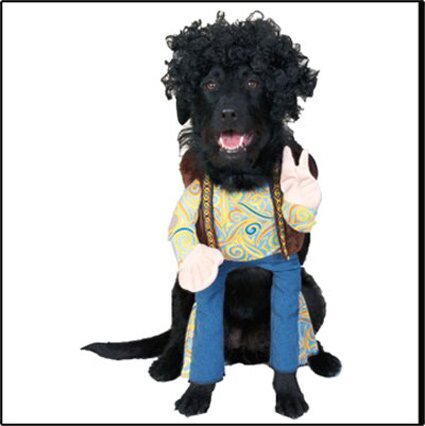 hippie-dog.jpg