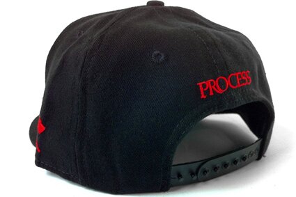 wearetheprocess_spring_11_snapbacks_004.jpg