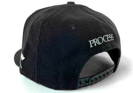 wearetheprocess_spring_11_snapbacks_007.jpg